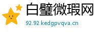 白璧微瑕网